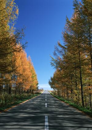 技術と安さを兼ね備えたコバック車検