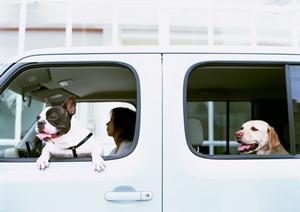 愛知で登録未使用車ならこちらへ