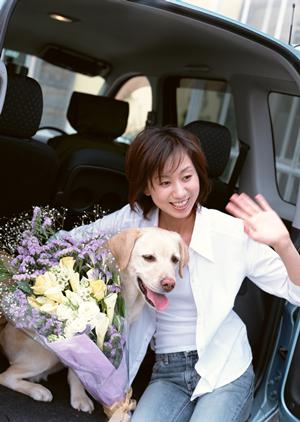 山口県下関市に位置するトヨタカローラ山口下関店の詳細情報と特徴